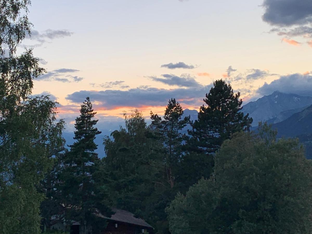 Apartament La Jacinthe De Crans Zewnętrze zdjęcie