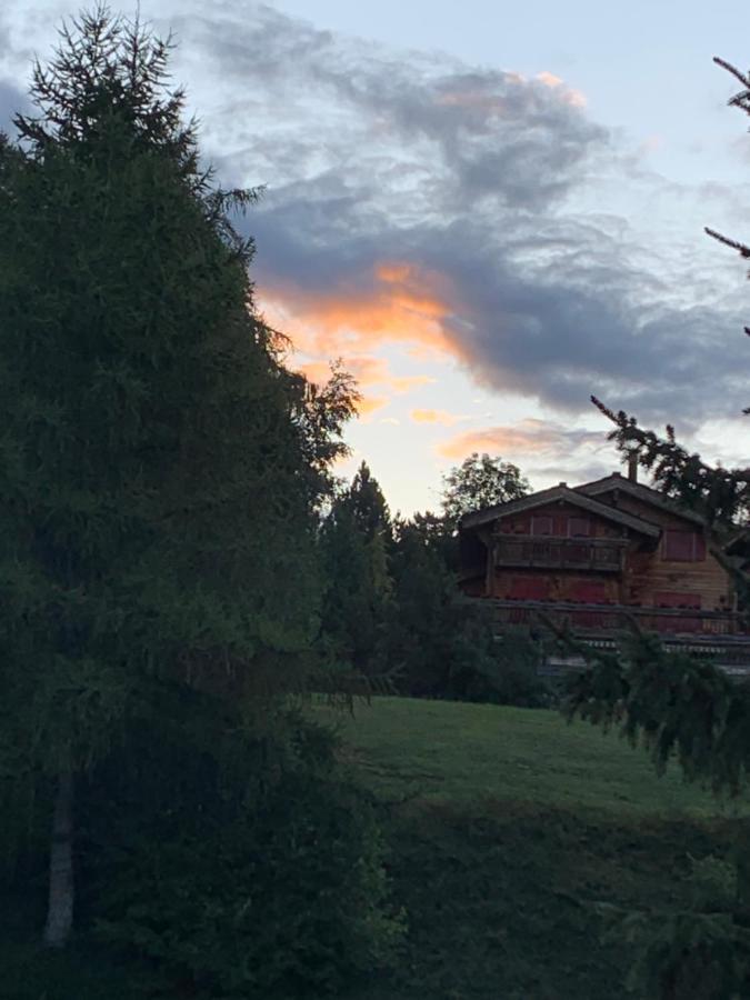 Apartament La Jacinthe De Crans Zewnętrze zdjęcie