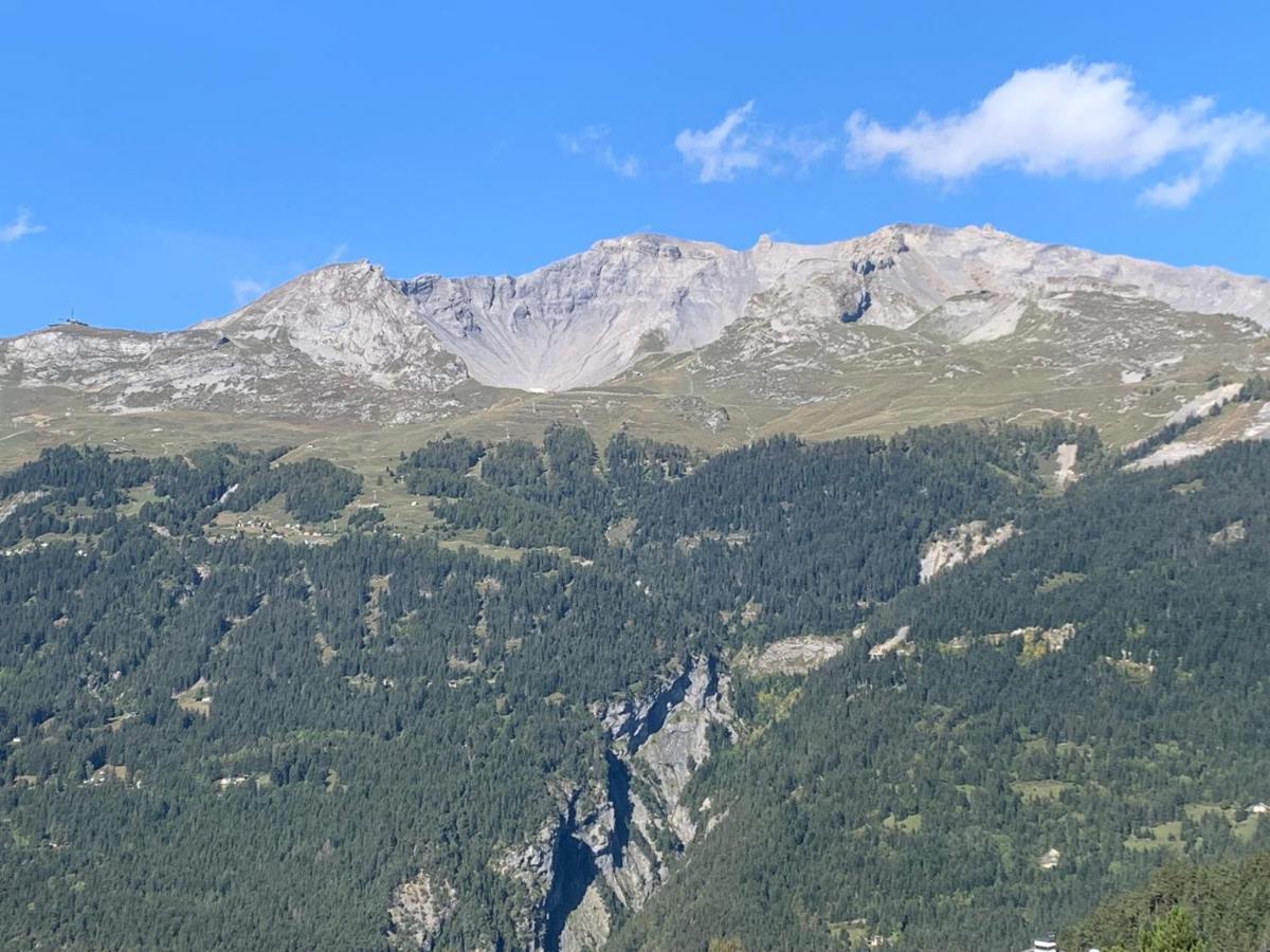 Apartament La Jacinthe De Crans Zewnętrze zdjęcie