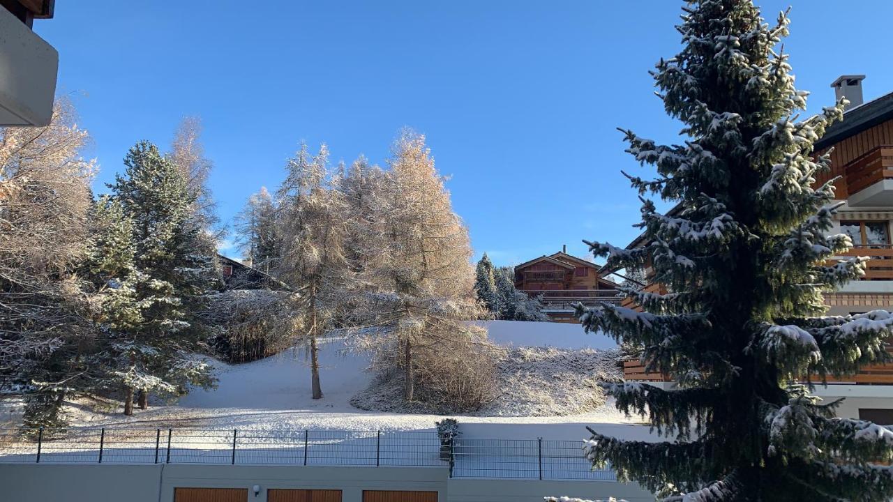 Apartament La Jacinthe De Crans Zewnętrze zdjęcie